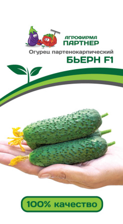 Огурец БЬЕРН F1 2-ной пак. 5шт