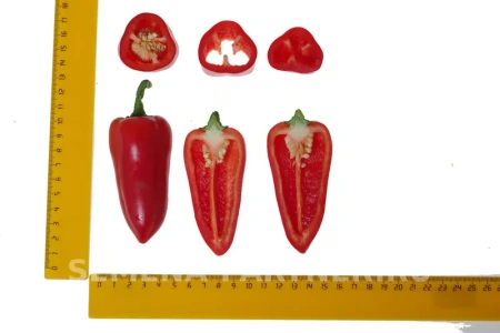 Перец сладкий ФЬЮДЖИ 2-ной пакет 10шт