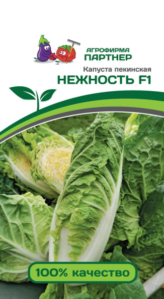 Капуста пекинская НЕЖНОСТЬ F1 0,5г Капуста пекинская НЕЖНОСТЬ F1 0,5г
