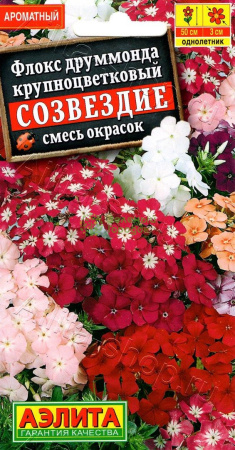 Флокс друммонда Созвездие, смесь АЭ 0,3г