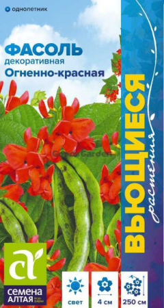 Фасоль вьющаяся Огненно-красная SA 5г
