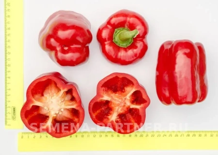 Перец сладкий ПАРТНЕР F1 2-ной пак. 5шт