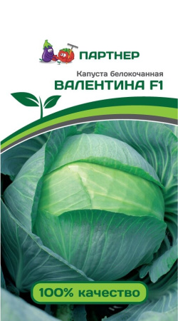 Капуста б/к ВАЛЕНТИНА F1 0,2г