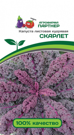 Капуста листовая кудрявая СКАРЛЕТ 0,3г