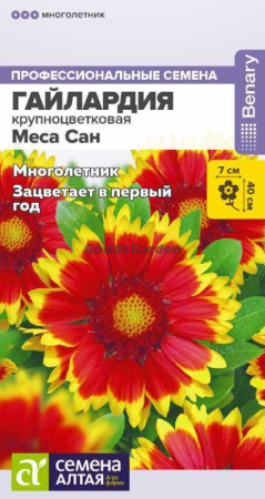 Гайлардия Меса Сан SA 3шт