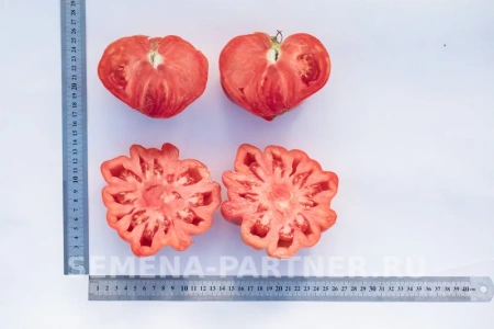 Томат НИНА 2-ной пак. 10шт