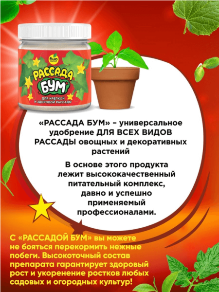 Удобрение Био-Комплекс Рассада БУМ 100г