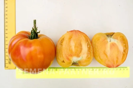 Томат СОКРОВИЩЕ ИНКОВ F1 2-ной пак. 10шт