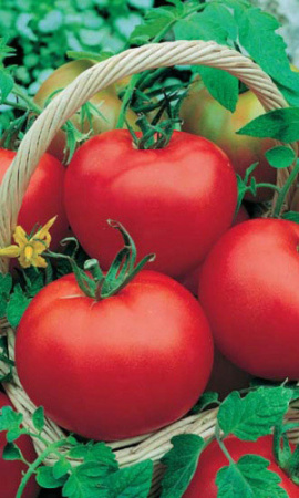 Томат Москвич (Марс) белый пакет 0,15г