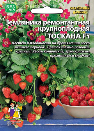 Земляника Тоскана F1 ремонтантная УД Б/Ф 5шт