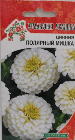 Цинния георгиноцветковая Полярный Мишка УУ