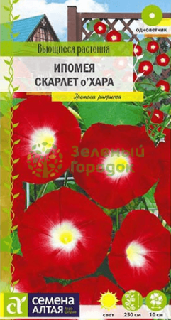 Ипомея Скарлет О'Хара SA 0,5г