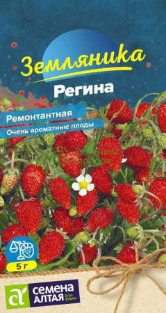 Земляника Регина ремонтантная SA 0,04г