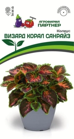 Колеус шлемниковидный ВИЗАРД КОРАЛ САНРАЙЗ 2-ной пак. 10шт