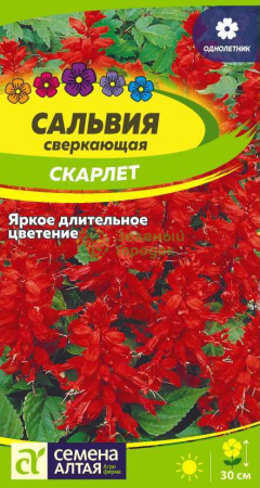 Сальвия Скарлет сверкающая SA 0,1г