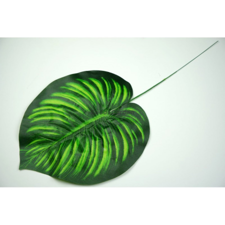 Лист диффенбахии 46см арт. ЗК052з (самовывоз и курьер по Минску)