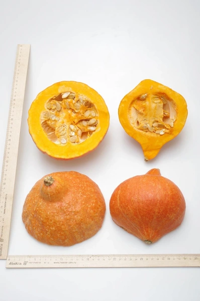 Тыква ОРАНЖ САММЕР F1 3шт