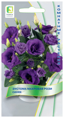 Эустома махровая Рози Синяя (ЦВ) 5шт