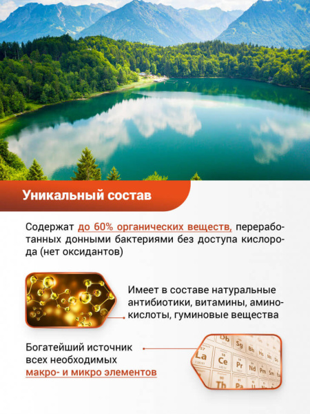 БИО-комплекс Сапропель Суперконцентрат 1л БИО-комплекс Сапропель Суперконцентрат 1л
