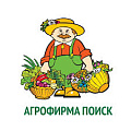 Семена овощей Агрофирма Поиск Семена овощей Агрофирма Поиск