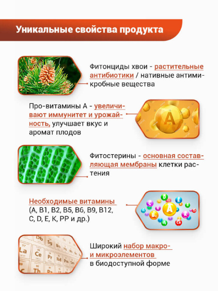БИО-комплекс Экстракт Хвои 1л БИО-комплекс Экстракт Хвои 1л