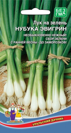 Лук на зелень Нубука Эвигрин УД 0,25г