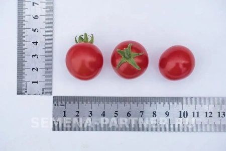 Томат черри КАМЕННЫЙ ЦВЕТОК 2-ной пак. 5шт