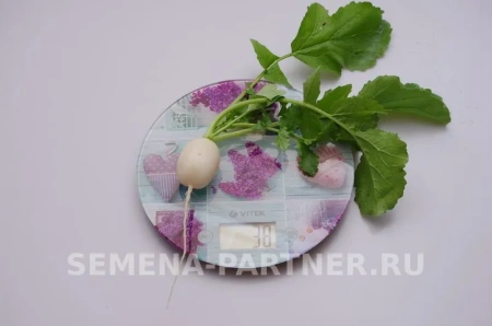Редис СНЕЖОК 2г Редис СНЕЖОК 2г