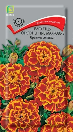 Бархатцы отклоненные махровые Оранжевое пламя (ЦВ) 0,4г