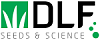 DLF