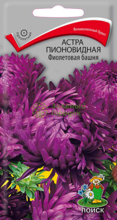 Астра пионовидная Фиолетовая башня (0,3 г)