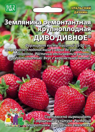 Земляника Диво дивное ремонтантная УД Б/Ф 10шт