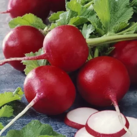 Редис Рудольф Нидерланды Pro 1,5г