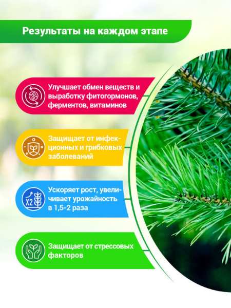 БИО-комплекс Экстракт Кедра 0,25л БИО-комплекс Экстракт Кедра 0,25л