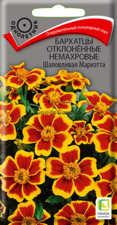 Бархатцы откл. немахровые Шаловливая Мариэтта (ЦВ) 0,4г