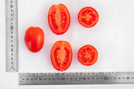 Томат ВЕЗУВИЙ F1 2-ной пак. 0,05г