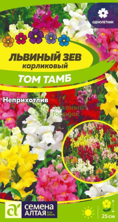 Львиный зев Том Тамб карликовый SA 0,1г