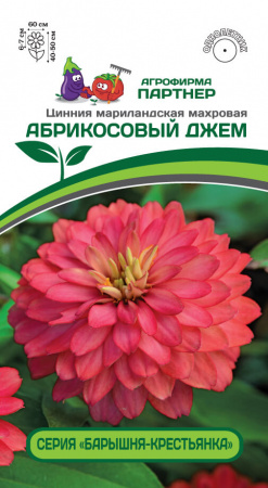 Цинния АБРИКОСОВЫЙ ДЖЕМ 2-ной пак. 5шт
