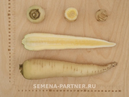 Морковь ВАЙТ САТИН F1 0,5г