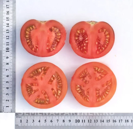 Томат ЧЕРНАЯ БОГИНЯ 10шт