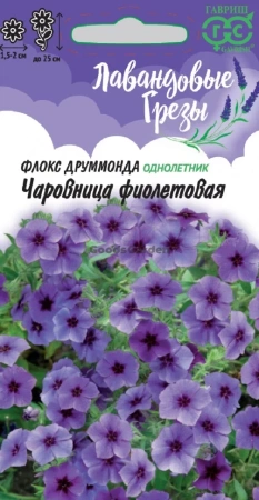 Флокс Чаровница фиолетовая Друммонда Лавандовые грезы ГВ 0,05г