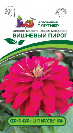 Цинния ВИШНЕВЫЙ ПИРОГ 2-ной пак. 5шт