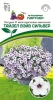 Петуния ТАЙДЕЛ ВЭЙВ СИЛЬВЕР F1 5шт в амп (ожидается поступление в декабре)