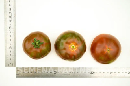 Томат НИАГУС 2-ной пак. 10шт Томат НИАГУС 2-ной пак. 10шт