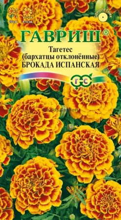Бархатцы Брокада испанская отклоненные (тагетес) ГВ 0,3г