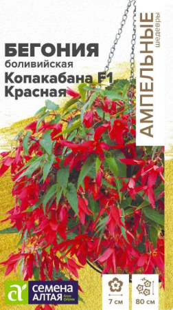 Бегония Копакабана F1 Красная боливийская SA 4шт