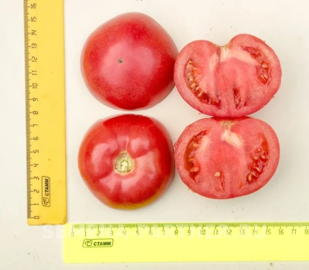 Томат ЭВОЛЮЦИЯ F1 2-ной пак. 10шт