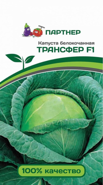 Капуста б/к ТРАНСФЕР F1 0,2г в амп Капуста б/к ТРАНСФЕР F1 0,2г в амп