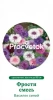 Василек синий Фрости смесь Германия Pro 1г