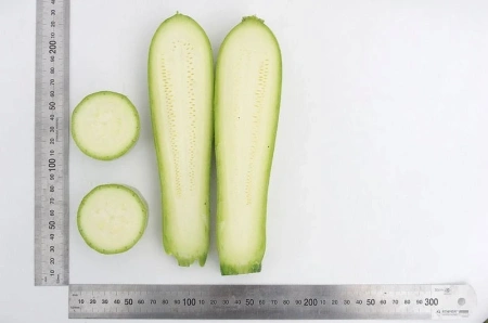 Кабачок ХЬЮГО F1 5шт